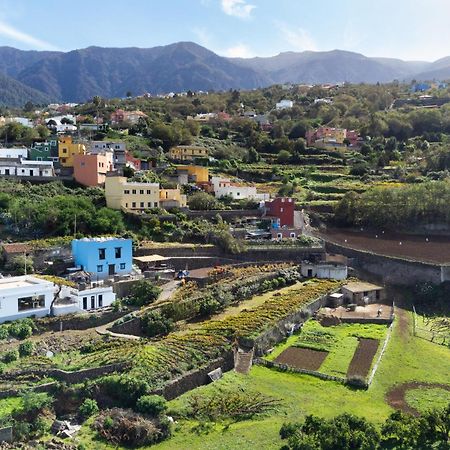 Ek Teide Finca El Milagro La Orotava Exteriör bild