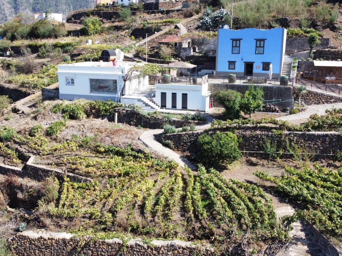 Ek Teide Finca El Milagro La Orotava Exteriör bild