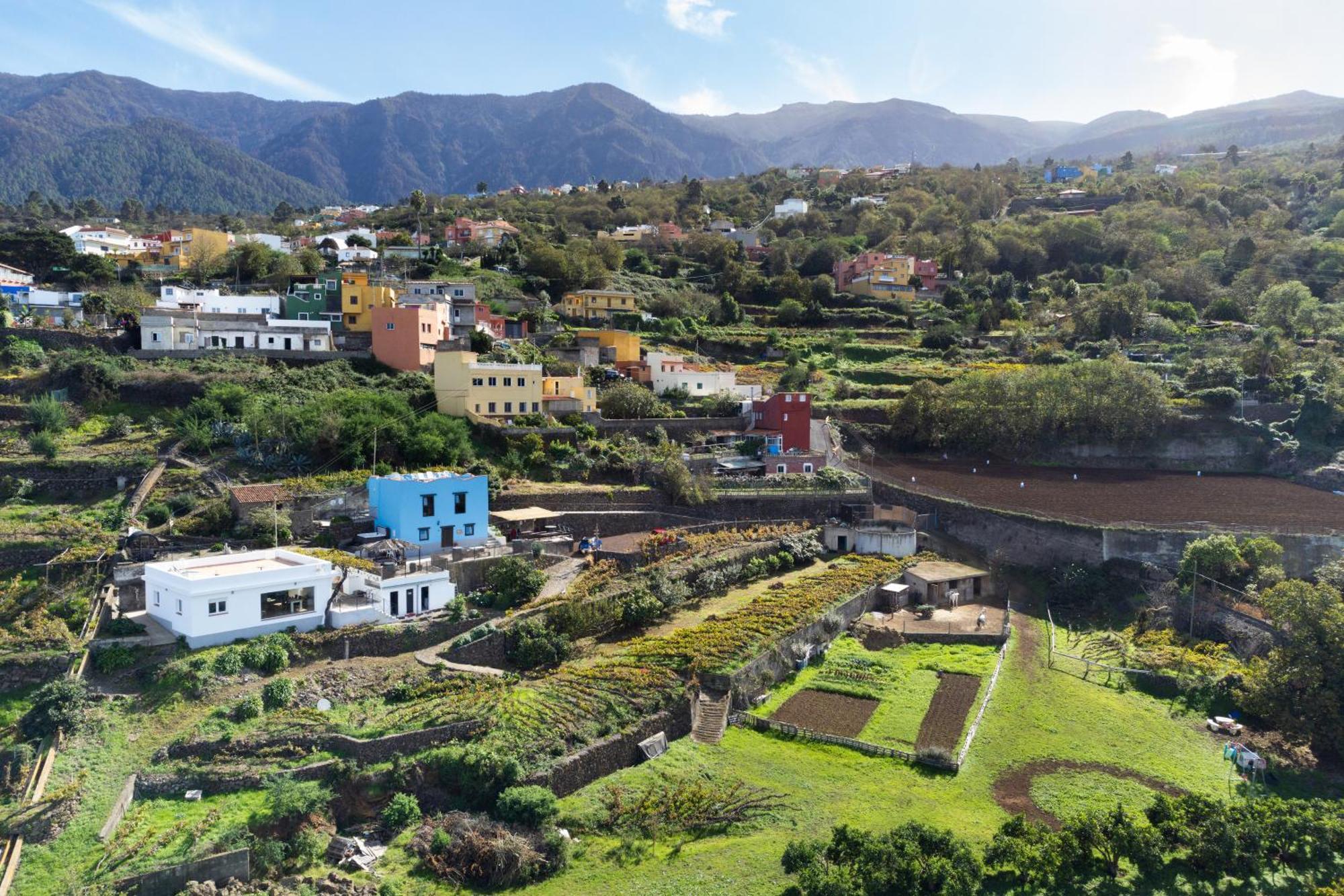 Ek Teide Finca El Milagro La Orotava Exteriör bild