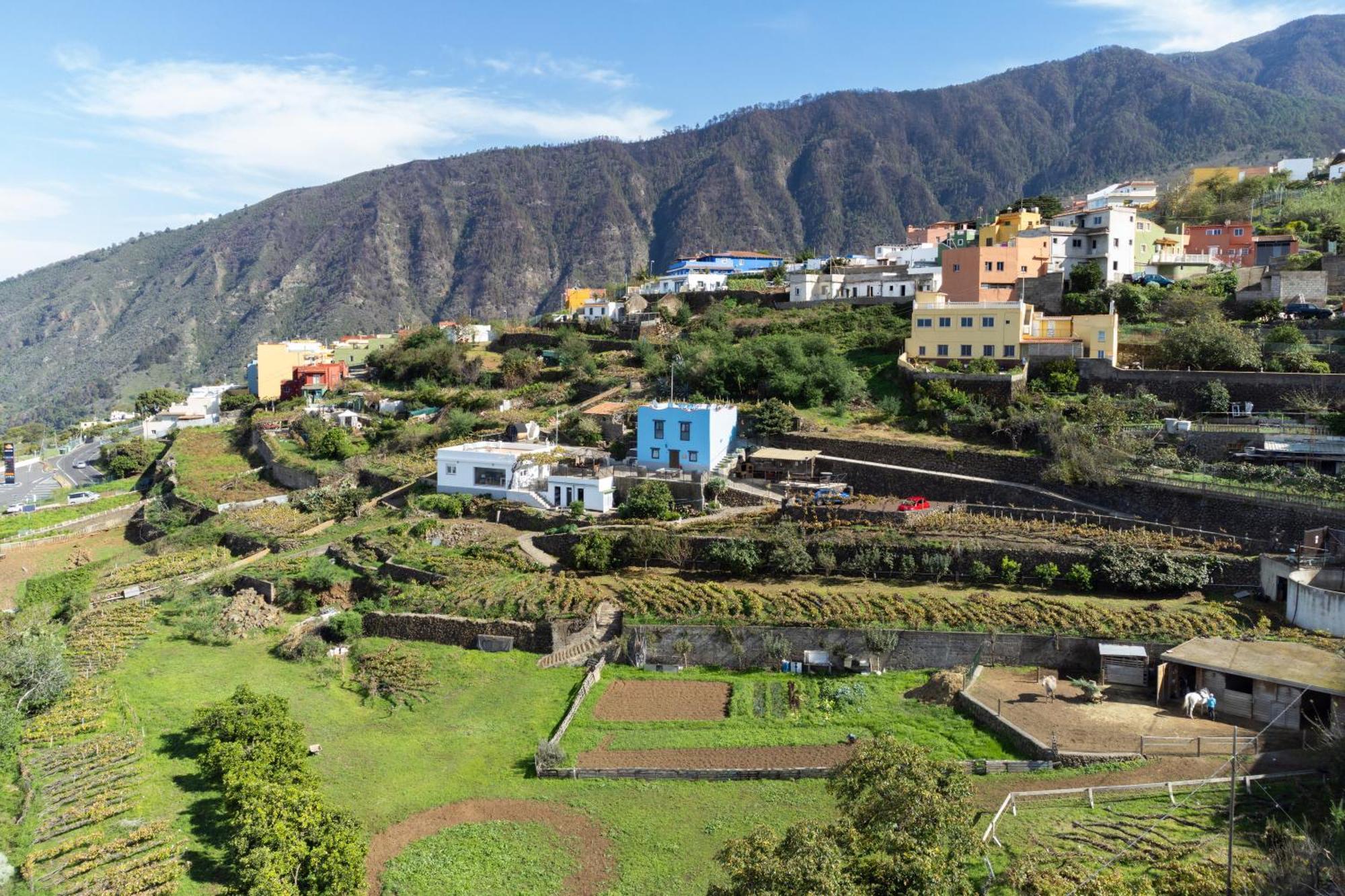 Ek Teide Finca El Milagro La Orotava Exteriör bild