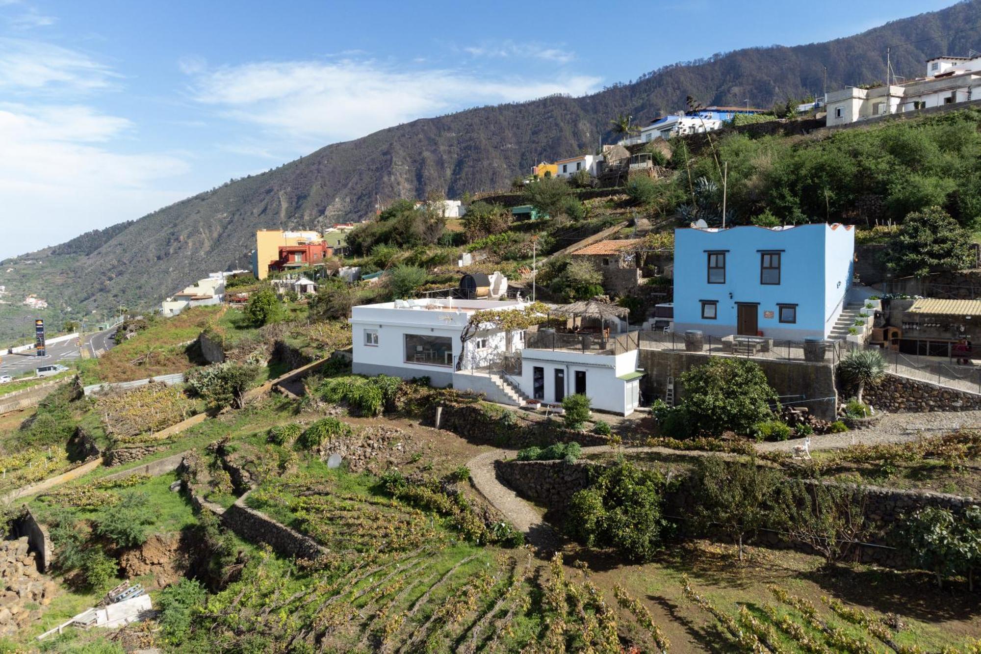Ek Teide Finca El Milagro La Orotava Exteriör bild