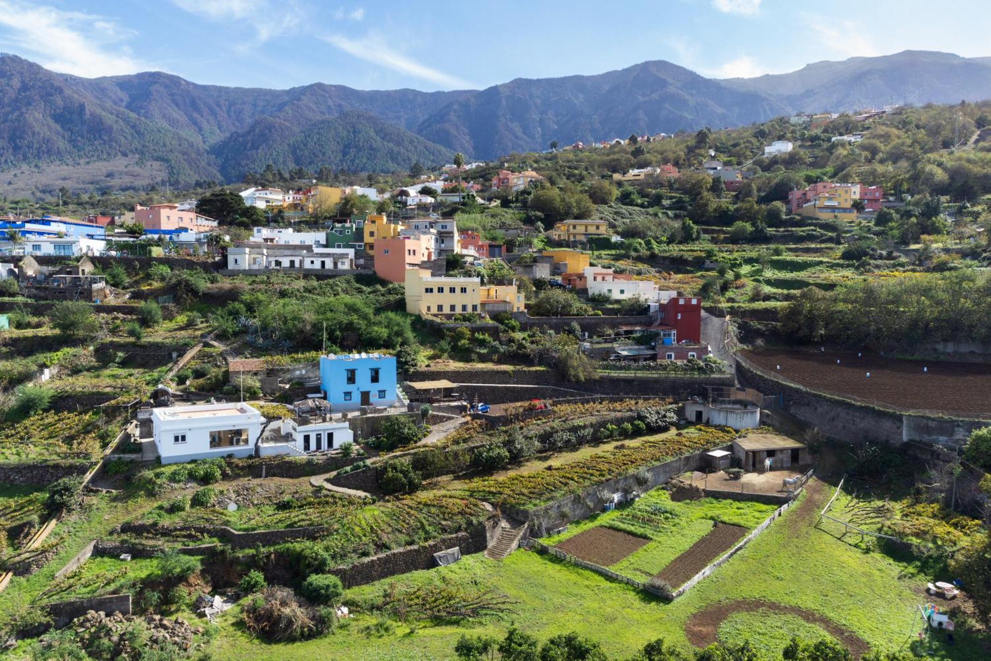 Ek Teide Finca El Milagro La Orotava Exteriör bild
