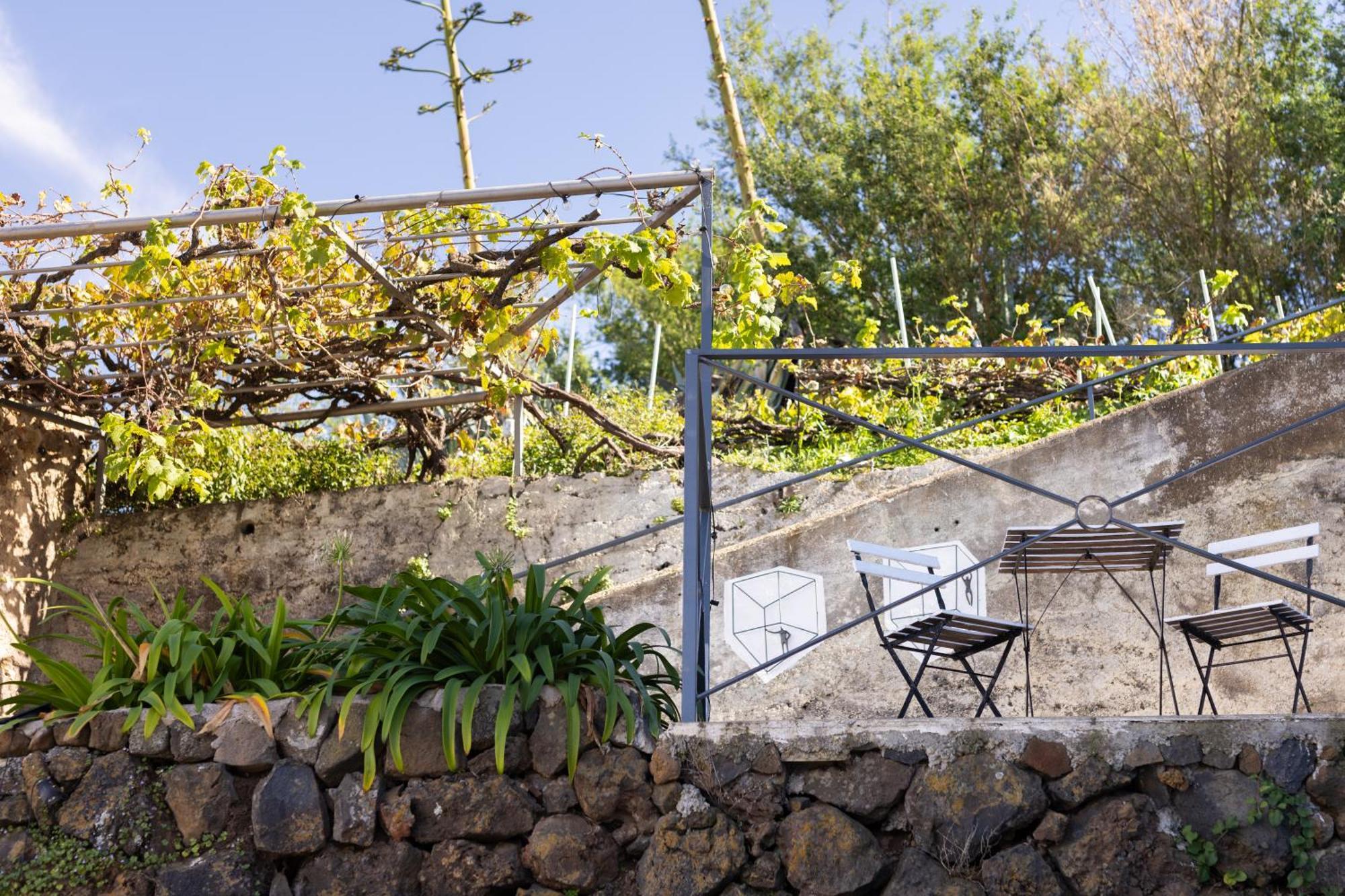 Ek Teide Finca El Milagro La Orotava Exteriör bild
