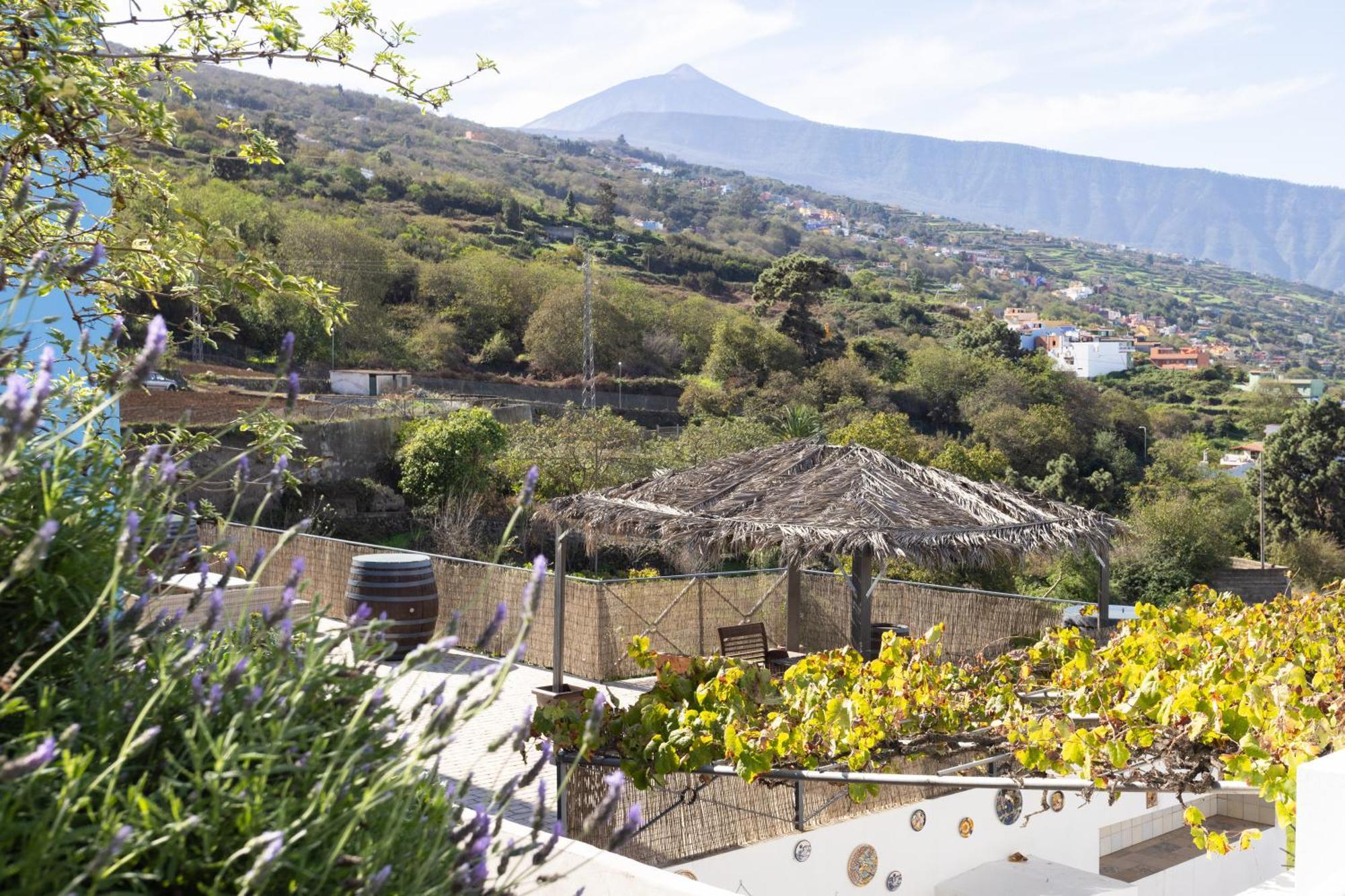 Ek Teide Finca El Milagro La Orotava Exteriör bild