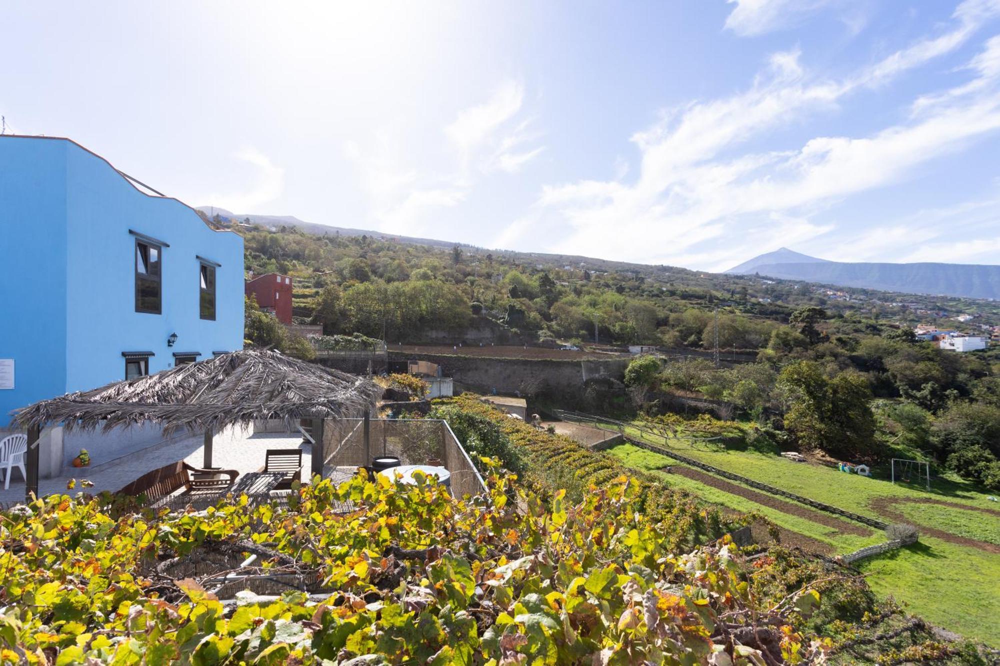 Ek Teide Finca El Milagro La Orotava Exteriör bild